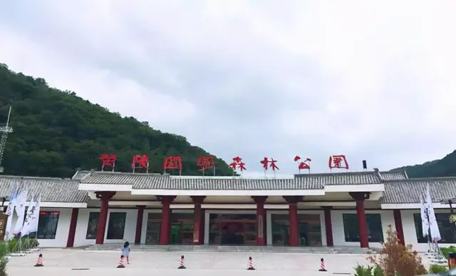 适合不同年龄段篮球爱好者的体能训练方案_1